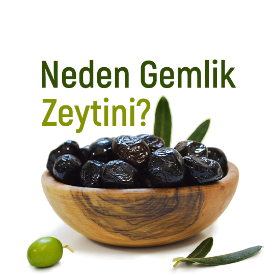 Neden Gemlik Zeytini Tercih Edilmeli?
