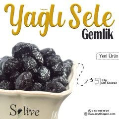 GEMLİK YAĞLI SELE ZEYTİNİ 1 KG