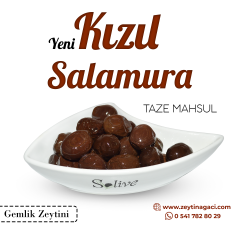 KIZIL SALAMURA ZEYTİN 1 KG