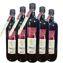 Beşli Solive Soğuk Sıkım Sızma Zeytinyağı 1LT Bottolio