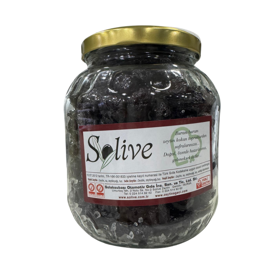 Gemlik Taze Sele Zeytin 1Kg